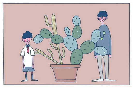 2025驻马店公办烹饪学校有哪些 驻马店公办烹饪学校名单一览表